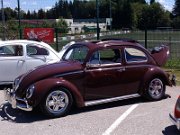 Beetle Show Rioz (14)